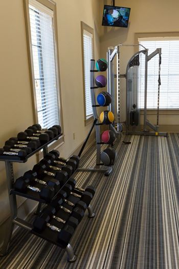 Free weights